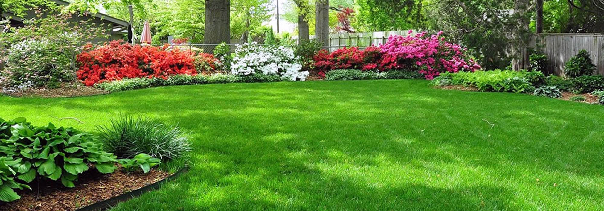 A Guide: How to Choose a Commercial Landscaper